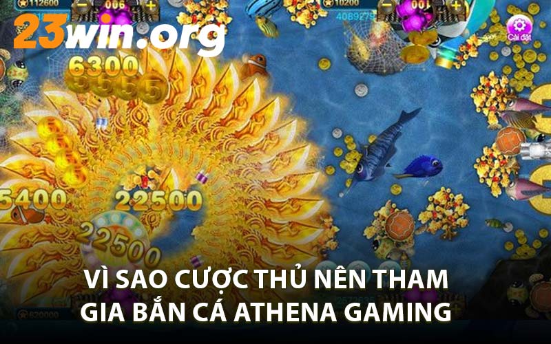 Vì Sao Cược Thủ Nên Tham Gia Bắn Cá Athena Gaming 