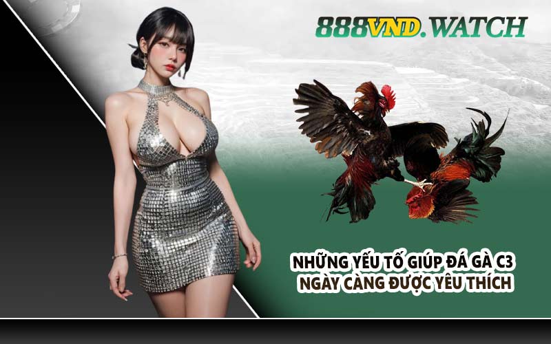 Những yếu tố giúp đá gà C3 ngày càng được yêu thích